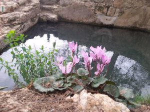 שביל המעיינות בהרי ירושלים